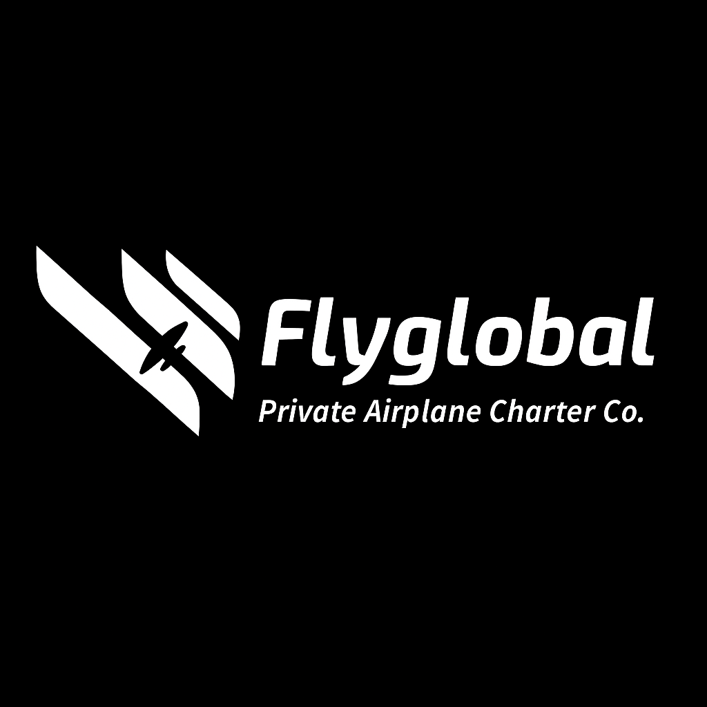 fly
